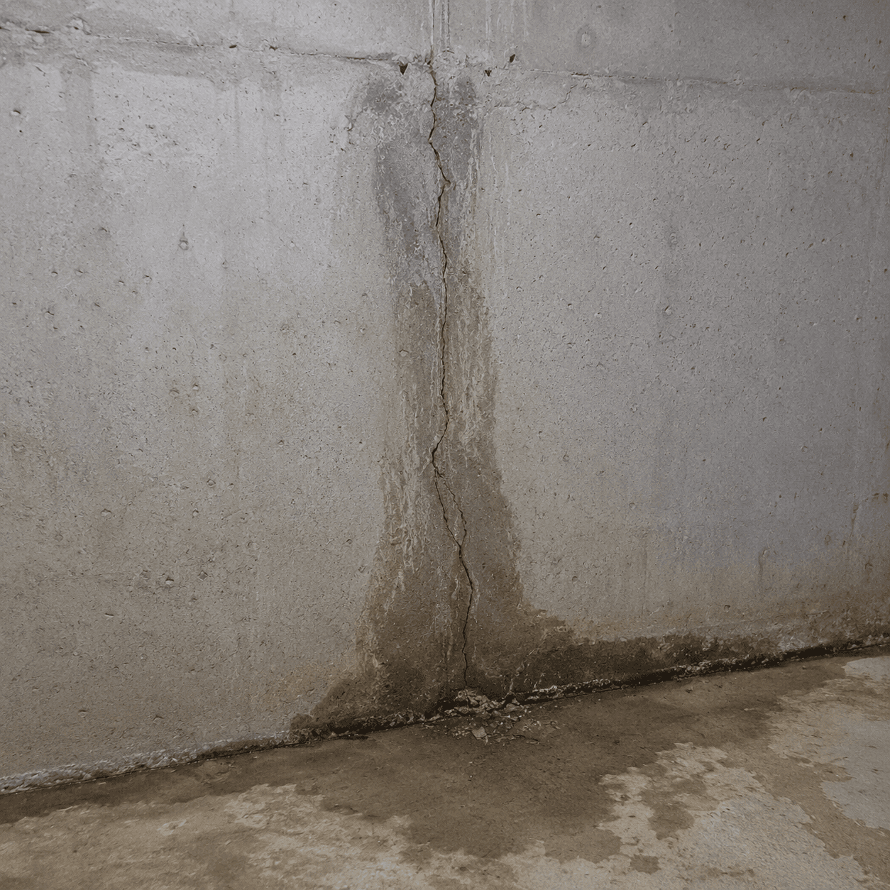 Foundation crack repair project in Scarborough — before